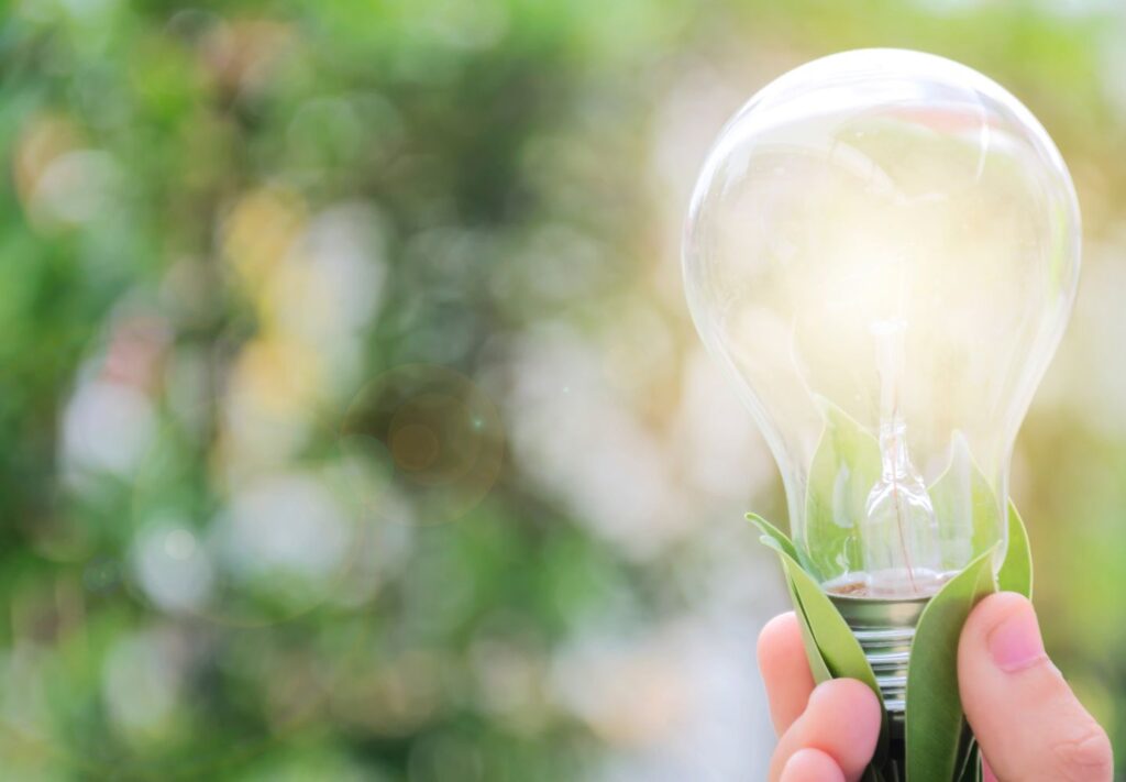 hand holding a lightbulb with leaves at the bottom